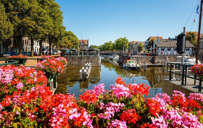 zomer - lingehaven - bloemen - Ministerie van Beeld